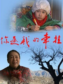 你是我的牵挂分集剧情介绍(1-集)大结局